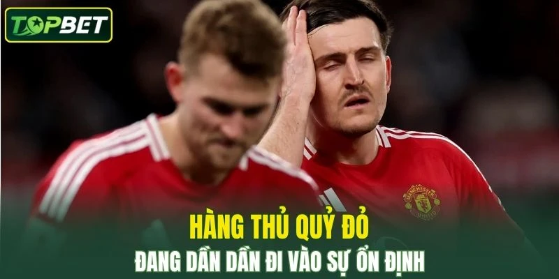 Hang Thu Quy Do Dang Dan Dan Di Vao Su On Dinh