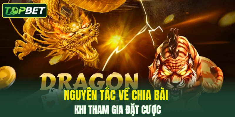 Nguyen Tac Ve Chia Bai Khi Tham Gia Dat Cuoc
