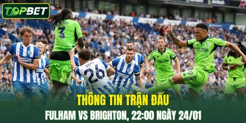 Cuoc Doi Dau Giua Fulham Vs Brighton Hua Hen Se Mang Den Nhieu Kich Tinh